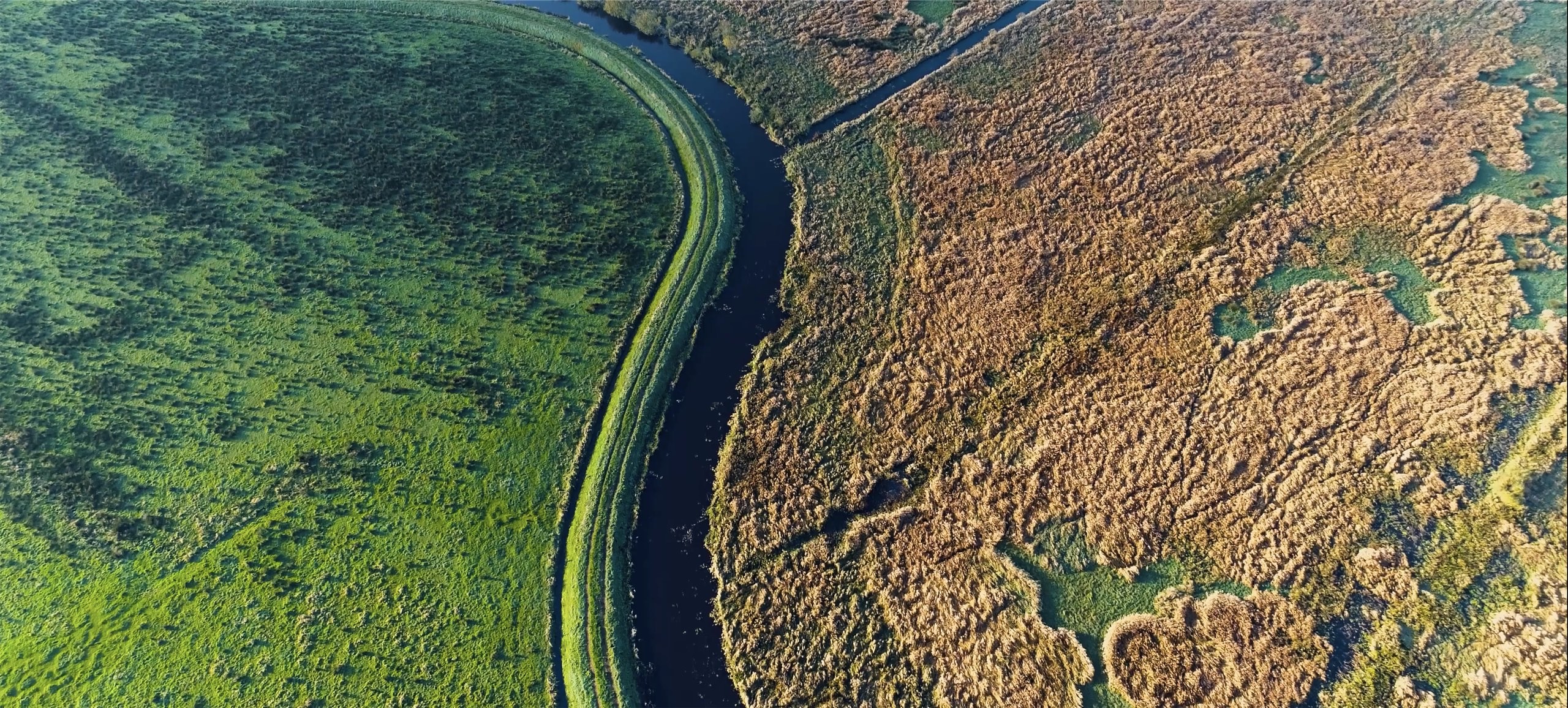 This image shows a drone shot of Ommelanden area in Groningen.jpg